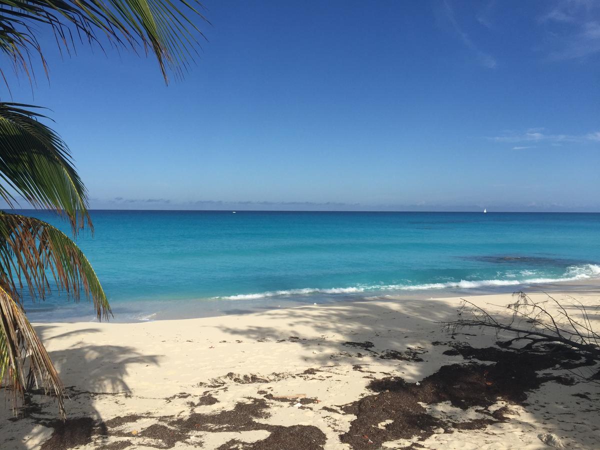 Bimini Seaside Villas - Pink Cottage With Beach View Alice Town  Eksteriør bilde