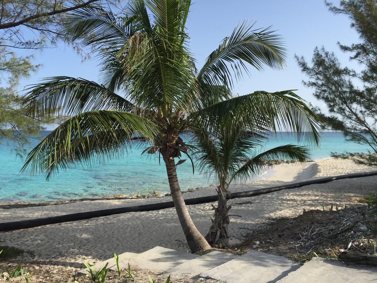 Bimini Seaside Villas - Pink Cottage With Beach View Alice Town  Eksteriør bilde