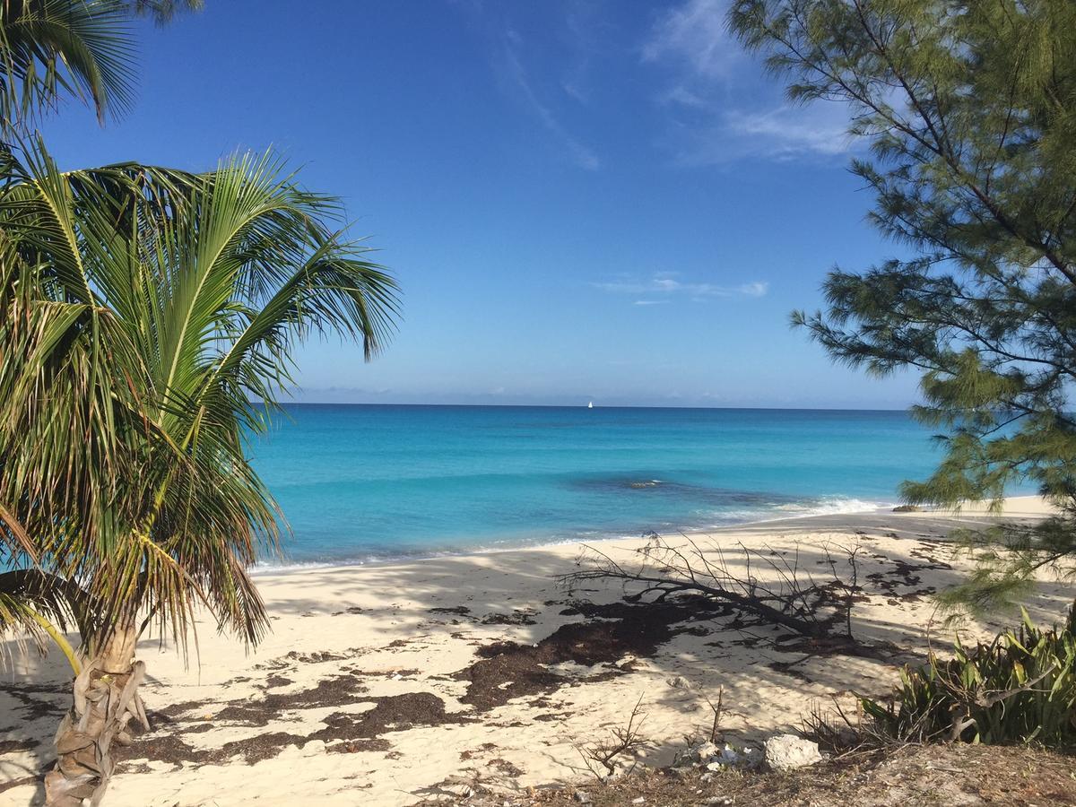 Bimini Seaside Villas - Pink Cottage With Beach View Alice Town  Eksteriør bilde